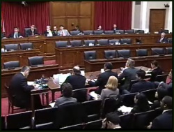 Congressional Hearing Screenshot